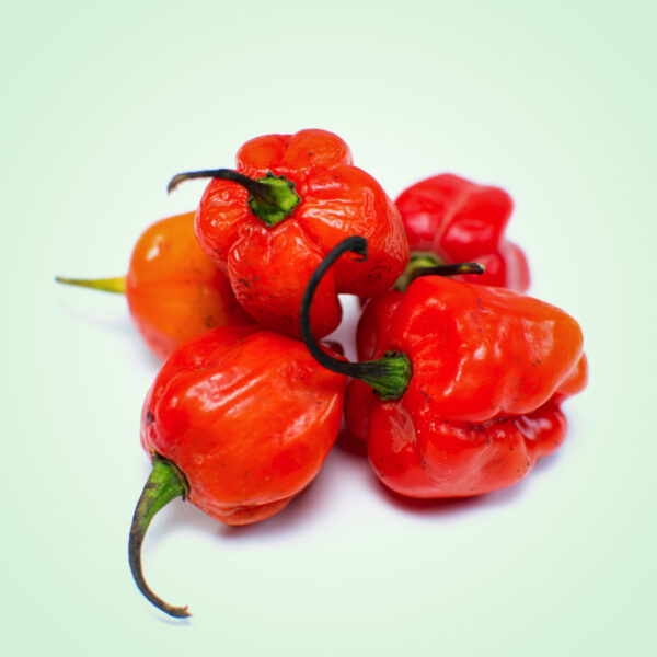 Rodo Pepper